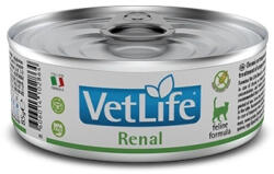  Farmina Farmina Vet Life Feline Renal 24x85 g