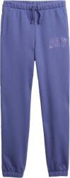 GAP V-fa Logo Heritage Jogger (797784-00)