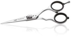  Iwasaki Executive Silver Fuji fodrászolló 5 (XS400959)