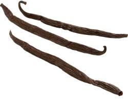 Vanilka Vanília vaníliászárga Tahiti 1 darab, 15 cm - Vanilka (090510v)