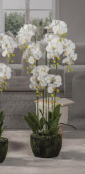 AdTrend Orhidee artificiala alba verde in ghiveci 28 x 110 cm (57716)