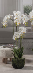 AdTrend Orhidee artificiala in ghiveci 28 x 110 cm (57715)