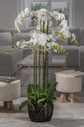 AdTrend Orhidee artificiala alba verde in ghiveci 66 flori 28 x 110 cm (57717)