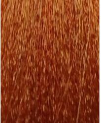 ETB Professional Colorverse Vopsea de Păr Permanentă 100ml Culoare Vibrantă și Rezistență de Lungă Durată (EH25114)