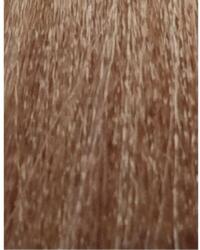 ETB Professional Colorverse Vopsea de păr permanentă 100 ml (EH25176)