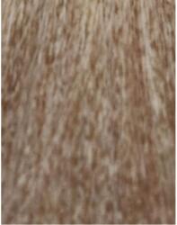 ETB Professional Colorverse Vopsea de Păr Permanentă 100ml Culoare Vibrantă și Rezistență de Lungă Durată (EH25138)