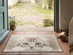 Salonloewe Nosy Cat 050x075 cm szennyfogó lábtörlő