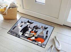 Salonloewe Siamo in sei 050x075 cm szennyfogó lábtörlő