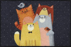 Salonloewe Cat-Quartet 050x075 cm szennyfogó lábtörlő