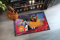 Salonloewe Noi Due 050x075 cm szennyfogó lábtörlő