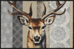 Salonloewe Woodland King 050x075 cm szennyfogó lábtörlő