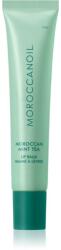 Moroccanoil Lip Balm balsam de buze culoare Moroccan Mint Tea 15 g
