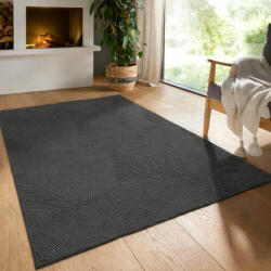  Modern szőnyeg Rio 3D Fay (Antracit) 240x330cm Sötét Szürke