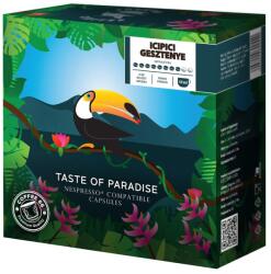 Coffee66 Icipici Gesztenye Toucan Nespresso® Kompatibilis Kávékapszula 20 db