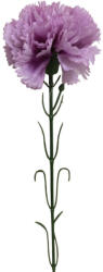  Élethű selyemvirág szálas szegfű lila 55cm