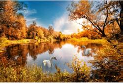 MÉDIA Natura169 matrica tapéta, őszi erdő hattyúkkal tavon, 270 x 200 cm (FOTOTAP3788)