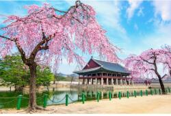 MÉDIA Média Natura 164 koreai palota mintás öntapadó és mosható fali tapéta, cseresznyevirággal, 270 x 200 cm (FOTOTAP3372)