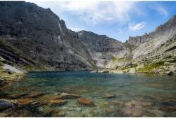 MÉDIA fali tapéta, öntapadó és mosható, természet 82, 270 x 200 cm (FOTOTAP1352)