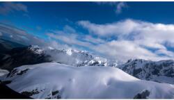 MÉDIA Média Natura 85 tapéta, 270 x 200 cm (FOTOTAP2892)