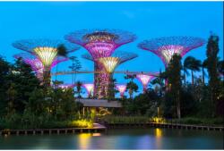 MÉDIA Öntapadó és mosható falfestmény Park Singapore 4, 250 x 150 cm (FOTOTAP4548)