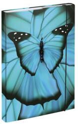 Baagl Plăci pentru caiete școlare A4 Butterfly (A-33024)