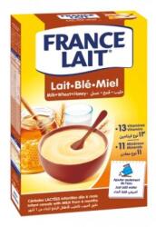 France Lait Terci de lapte de grâu cu miere 250g (IP2098)