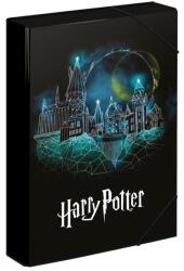 Baagl Plăci pentru caiete școlare A4 Jumbo Harry Potter (A-33196)