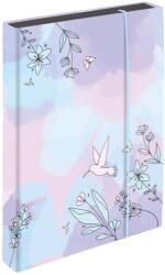 KARTON P+P Cutie pentru caiete A4 Jumbo Colibri (8-76325)