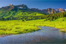 MÉDIA Natura175 Rau fenyő és hegyek öntapadós tapéta, 270 x 200 cm (FOTOTAP3792)