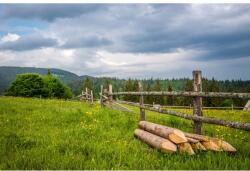 MÉDIA Natura156 öntapadó és mosható fali tapéta, rét és erdő, 270 x 200 cm (FOTOTAP3366)