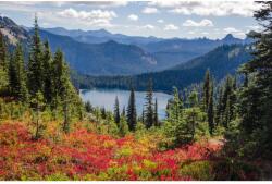 MÉDIA fali tapéta, öntapadó és mosható, természet 153 virágok, tó, hegyek, 270 x 200 cm (FOTOTAP3364)