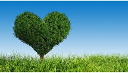 MÉDIA matrica, Életfa, 270 x 200 cm (FOTOTAP1682)