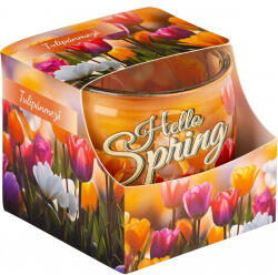 Mécses Illatmécses üvegpohárban tulipánmező 1db - vitalora