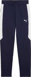 PUMA Teamevostripe Pants W (65995606)