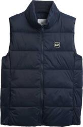 GAP V-frch Logo Lw Puffer (791282-03)