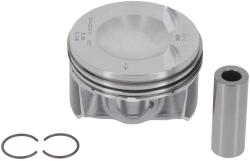 NÜRAL Piest NÜRAL 87-442200-10 (87-442200-10)