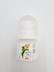 Dove roll-on 50 ml Powered by Plants Gyömbér