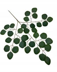 Wera Eukaliptusz levél 60 cm sötétzöld műlevél (L-18-438/1)