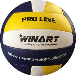 Winart Волейболна топка winart pro line №5