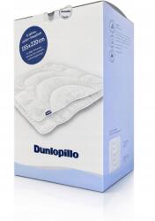  Paplan 155x220 cm 4 Évszakok Egész éves Home Dupla pántos hosszabbító (dunlupillo 155x220)