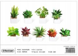  Pozsgás cserépben 13CM Kiváló Minőségű Lakberendezés (929001)