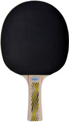 Donic Asztalitenisz Pingpong Ütő Donic Legends 500 Allround (4906215798939)