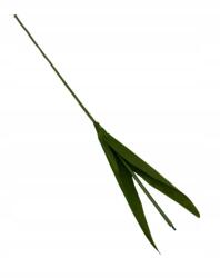 Wera Tulipán Szár 44 CM (M709)