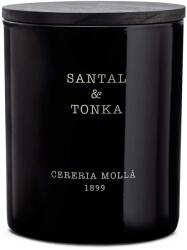 Cereria Mollá Ароматна свещ Cereria Molla - Santal & Tonka, 230 g (5548)