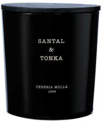 Cereria Mollá Ароматна свещ Cereria Molla - Santal & Tonka, 600 g (6648)