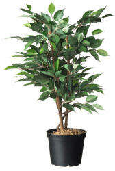 Nature Konténer fekete 4l, 17x 21cm, 3db/csom