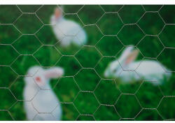 Nature Hexagal galvanizált drótkerítés 25x25mm, 50cmx2, 5m