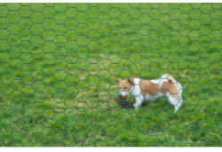 Nature Hexaplast drótkerítés, zöld 25x25mm 0, 5mx10m