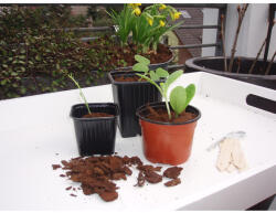 Nature Ültetőcserepek, műanyag 9, 5x9x9cm, 7db-os szett