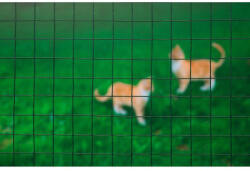 Nature Drótkerítés, 25mmx25mm, műanyag bevonattal, 50cmx2, 50m